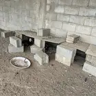 بط للبيع