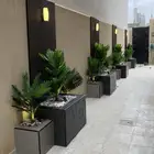 حدائق منزلية