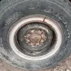 جنوط شنبر 16