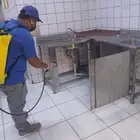 مكافحة حشرات ونظافة عامة