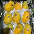 البيع بالجملة خضار وفواكه