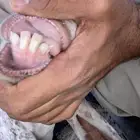 عنز حايل
