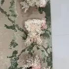 مرجان طبيعي للبيع