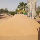 توريد رمل احمر رمل ابيض بطحا لياسه تليس مخلوط رمل بلاط