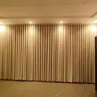 ستاره ويفي