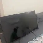 تلفزيون