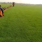 نجيله طبيعي او ثيل درجه اولى مضمونه مشروطه