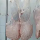 حشو ف اخر وحريات وتيوس ذبح يومي