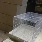 شبك طيور