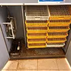 فقاصه تماتيك من عون المربي