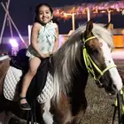 خيل وسيسي مدربة للمناسبات والحفلات والمدارس وجلسات التصوير