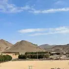 بادوك او مضمار خيل للإجار