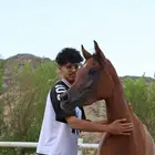 مهره مصريه بنت عزام الخالد جاهزه للتسجيل