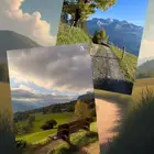 للبيع لوحات جدارية ( صور طبيعه ) مع البرواز