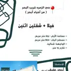 فيلا كبيرة و شقتين اثنين