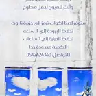 مق جزيرة تاروت