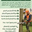 إزالة وقص الأشجار داخل المنازل أو الخارج باحترافية