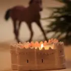توزيعات اليوم الوطني السعودي