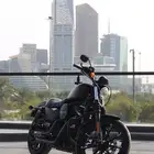 هارلي Iron 883 Sportster موديل 2017