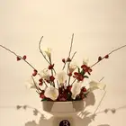 مصورين مصورة منتجات اطعمه وغيرها ب افضل الاسعار