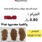 عود موروكي محسن بسعععر صيدة