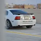 مصور محترف