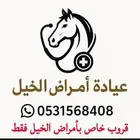 أهل الخيل حياكم الله