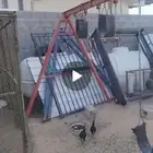 مراجيح اطفال