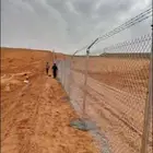 يوجد لدينا جميع انواع النخيل المثمر وازينه توريد لا أنحاء ال