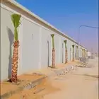 انخيل للبيع