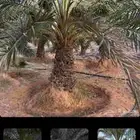 السلام عليكم ورحمه الله وبركاته نقوم بجميع مقاولات