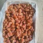 تمر صقعي فله