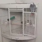 كاسكو أفريقي