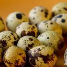 بيض سمان مخصب