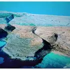 شاشة سوني 55 بوصة