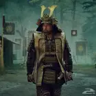تورنت
