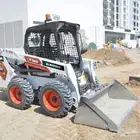 بوب كات. للإيجار.