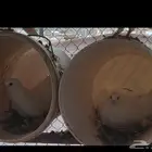 حمام فرنسي نظيف ومنتج