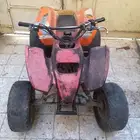 الدباب وأموري طيبة