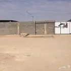 مطلوب حوش غنم او مزرعه