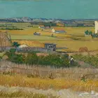 لوحة مستورده من متحف Van Gogh بامستردام  هولندا.