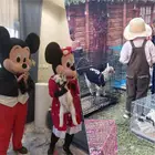 مهرجه وتاجير خيول وسيسي وحيوانات