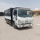 دينا ايسوزو نوديل 2016