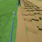 لبيع نجيلة الخضراء الطبيعية مكة المكرمة