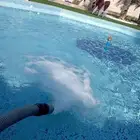 وايت مياه حلو