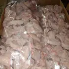 جوانح دجاج