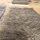 جريد النخل الرول المخيط
