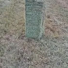 بلوبنك ناعم شد ووزن