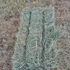 بلوبنك ناعم شد ووزن