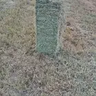 بلوبنك ناعم شد ووزن